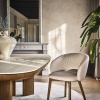 Anime dining chair - myhome