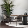 Oleandro Fab dining armchair - myhome