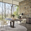 Orbital dining table