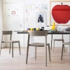 Skin dining chair