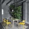 Skin dining chair - myhome Skin dining chair - myhome