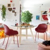 Academy dining armchair - myhome