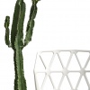 Alchemia outdoor dining chair - myhome Alchemia outdoor dining chair - myhome