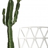 Alchemia outdoor dining chair