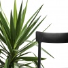 Argo outdoor dining chair - myhome Argo outdoor dining chair - myhome