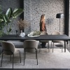 Artic dining table - myhome