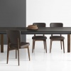 Escudo dining chair