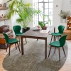 Ops! dining chair - myhome