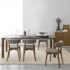 Siren dining chair