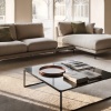 Metrico T905 coffee table