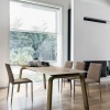 Deimos dining  table