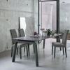 Deimos dining  table