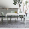 Mercury dining table