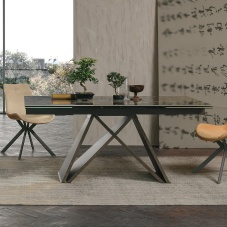 Delta dining table
