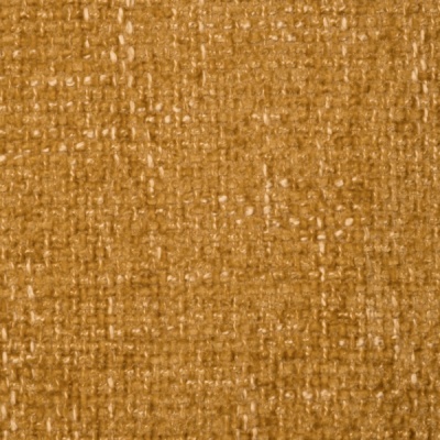 Baobab503