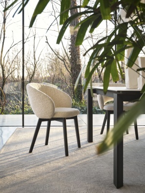 Anime dining chair - myhome