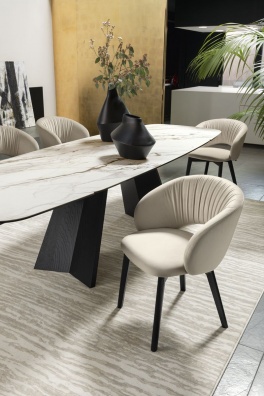 Anime dining chair - myhome
