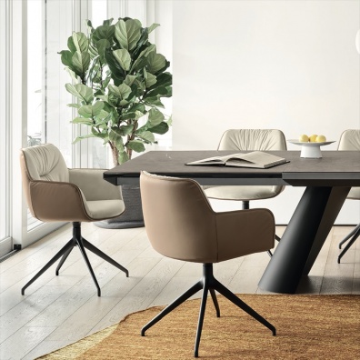 Cocoon dining chair