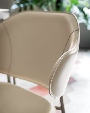 Holly dining armchair - myhome