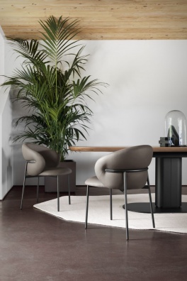 Oleandro Fab dining armchair - myhome