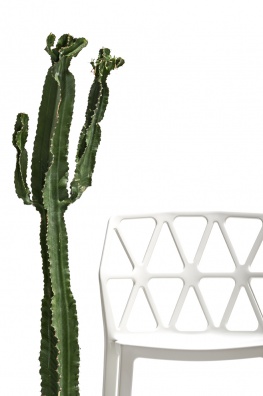 Alchemia outdoor dining chair