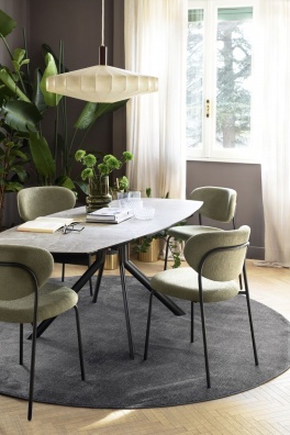 Cozy dining chair - myhome