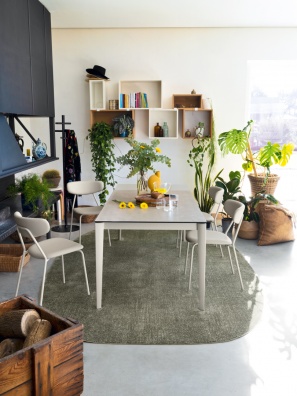 Lisca dining chair - myhome
