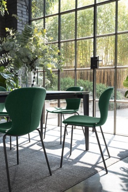 Ops! dining chair - myhome