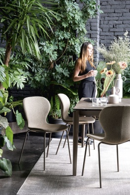 Ops! dining chair - myhome