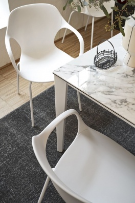 Ops! dining armchair - myhome