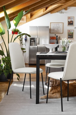 Riley dining chair