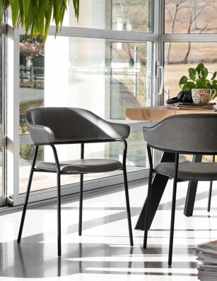 Signorina dining chair - myhome