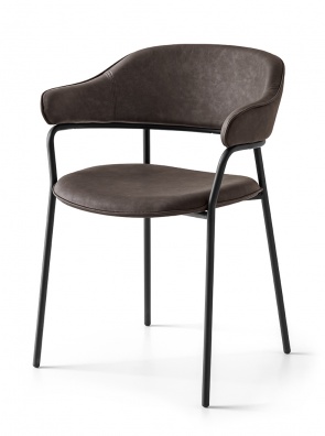 Signorina dining chair - myhome