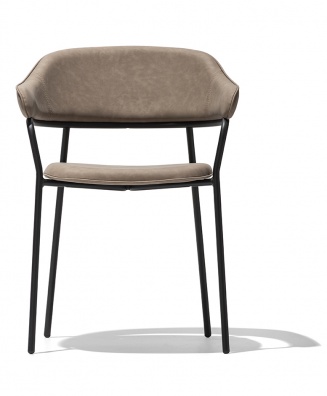 Signorina dining chair - myhome
