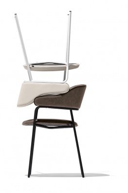 Signorina dining chair - myhome