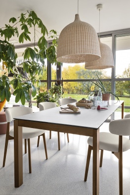 Talks dining chair - myhome