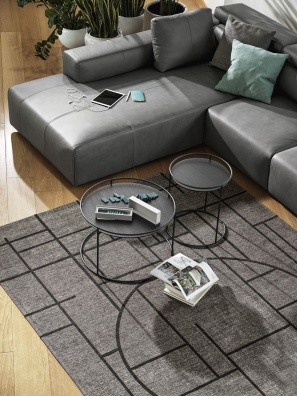 Chinese rug - showroo sample - myhome