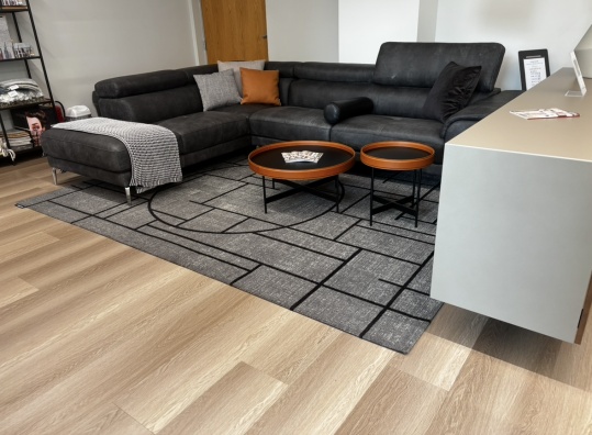 Chinese rug - showroo sample - myhome