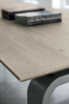 Deimos dining  table