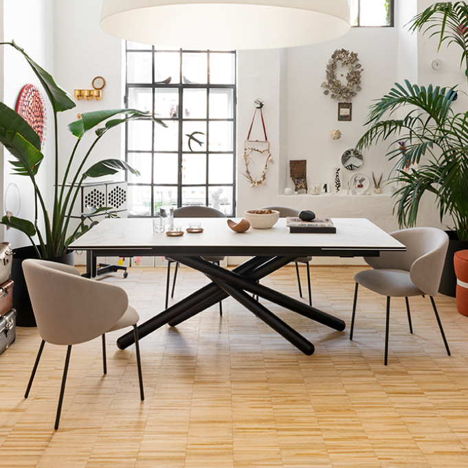 Duel dining table