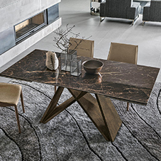 Delta dining table TP