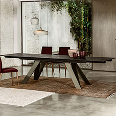 Celtis dining table